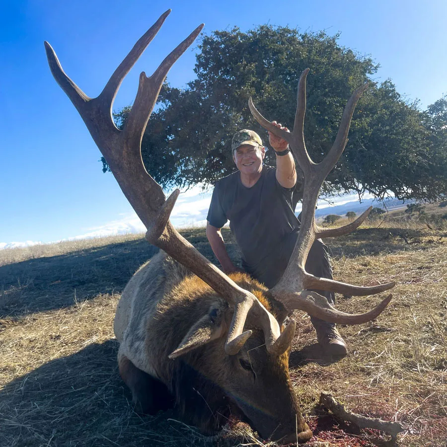 Tule elk big game hunting guided by Frontera Big Game