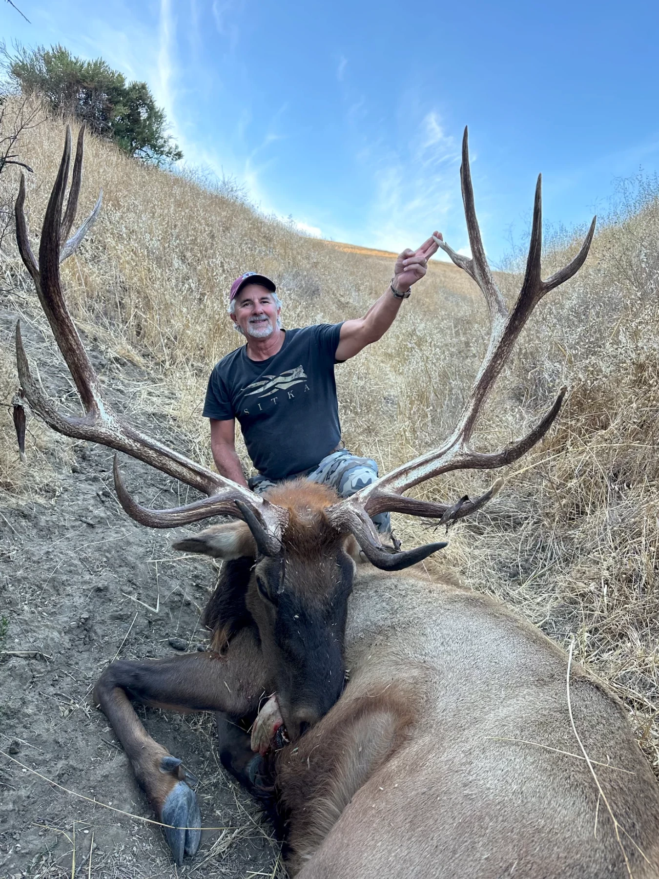 Tule Elk Hunt California